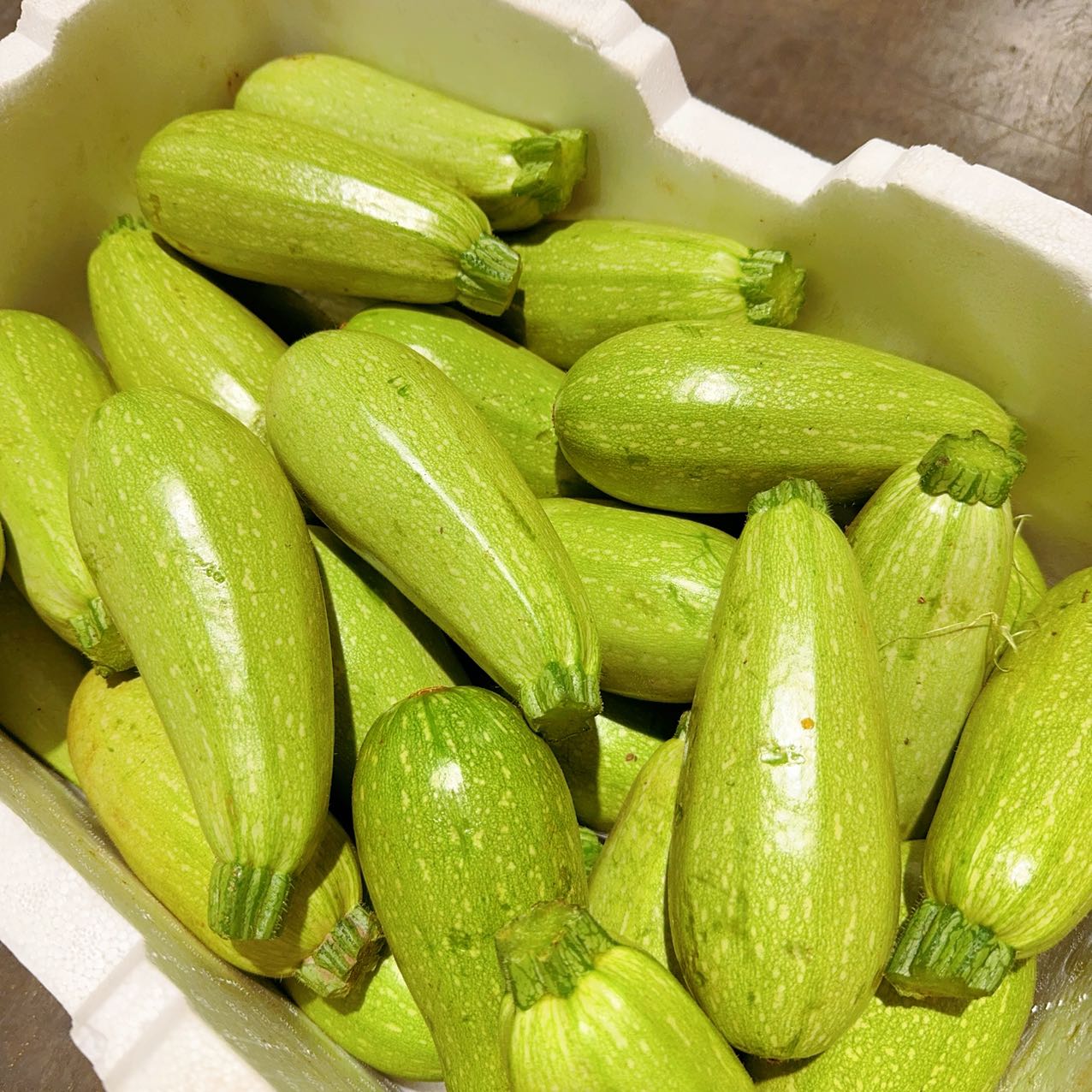 Light Green Zucchini - 1kg - Image 3