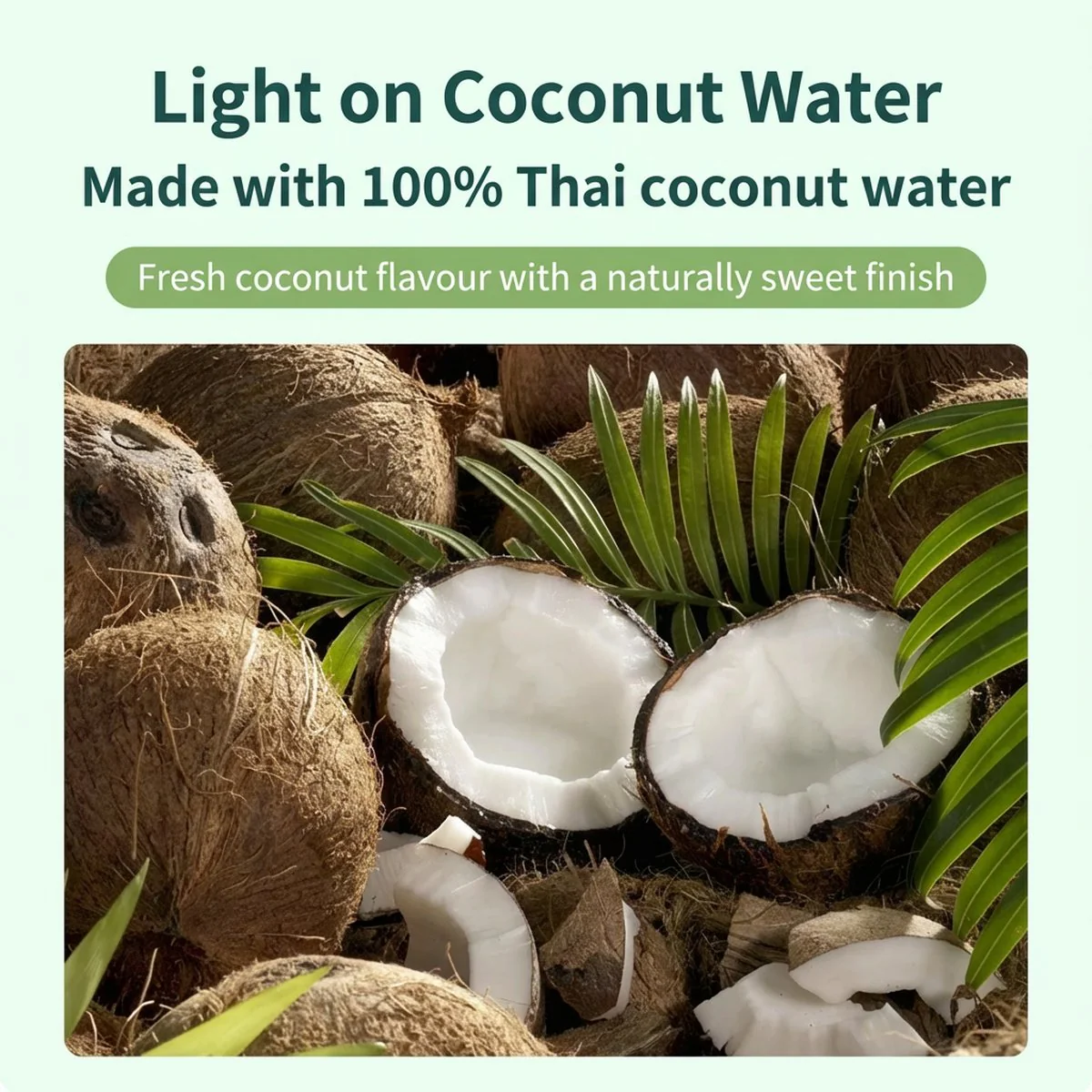 LightUp 100% Coconut Water - 360ml x 15 Bottles - Image 3