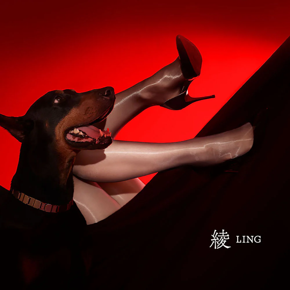 Ling Sheer Pantyhose Black - Size L - Image 3