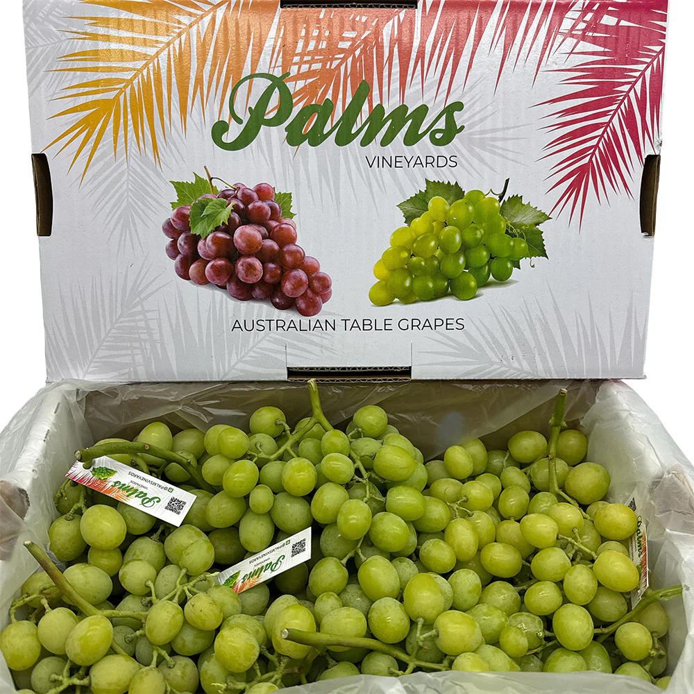 Local Autumn Crisp Shine Muscat Grapes - 900g - Image 2