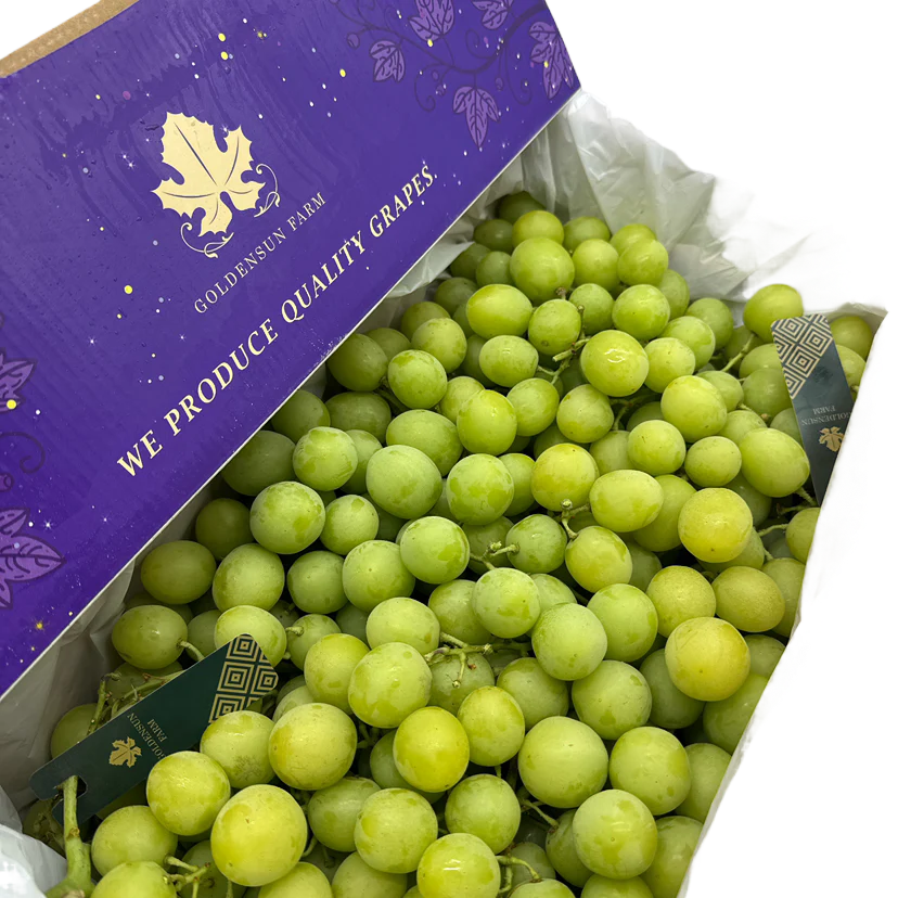 Local Autumn Crisp Shine Muscat Grapes - Box of 4.5kg - Image 2