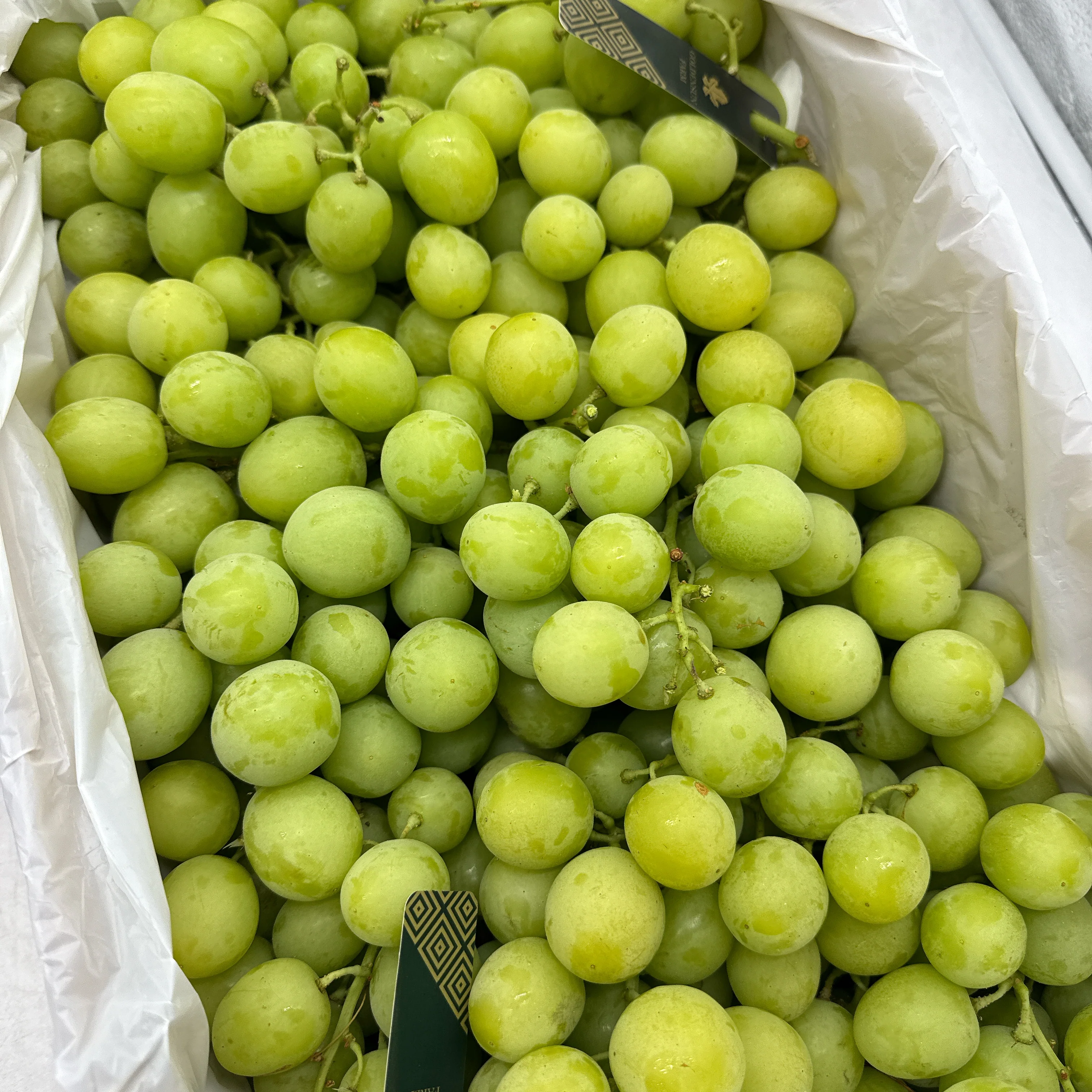 Local Autumn Crisp Shine Muscat Grapes - Box of 4.5kg - Image 3