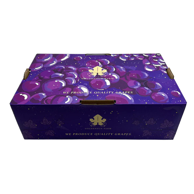 Local Autumn Crisp Shine Muscat Grapes - Box of 4.5kg - Image 4