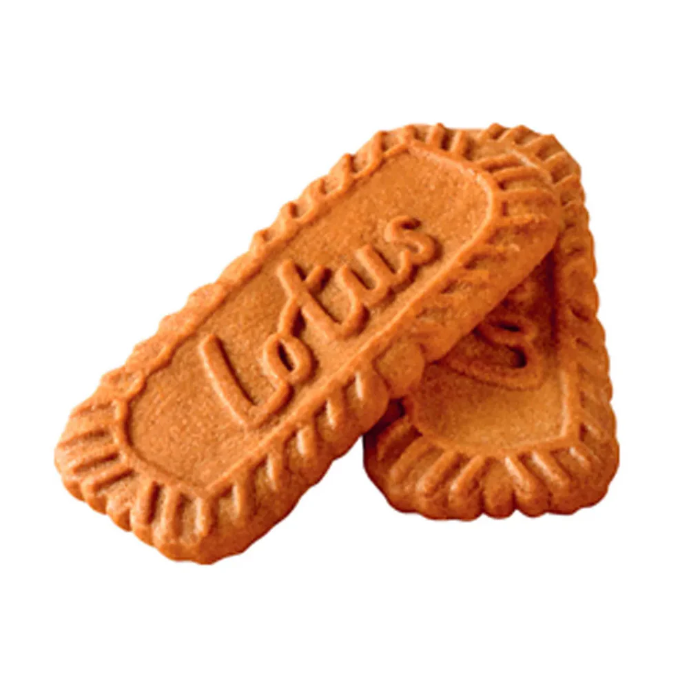 Lotus Biscoff Classic Biscuits - 8 Packs, 124g - Image 4