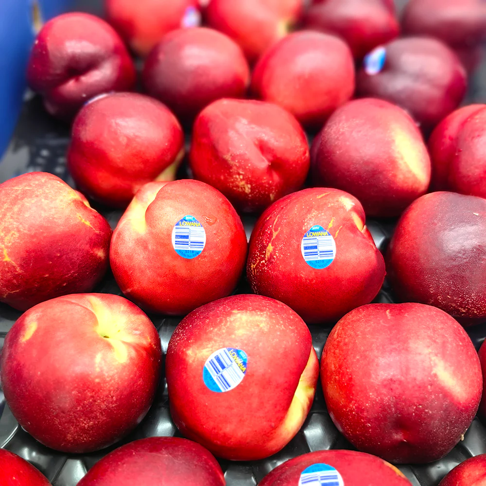 Lowana White Nectarines - Large, 4 Pieces