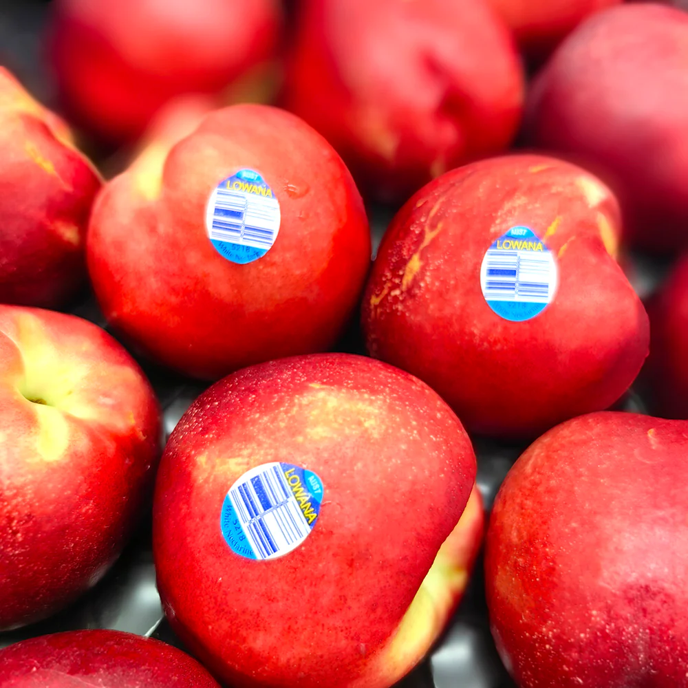 Lowana White Nectarines - Large, 4 Pieces - Image 2