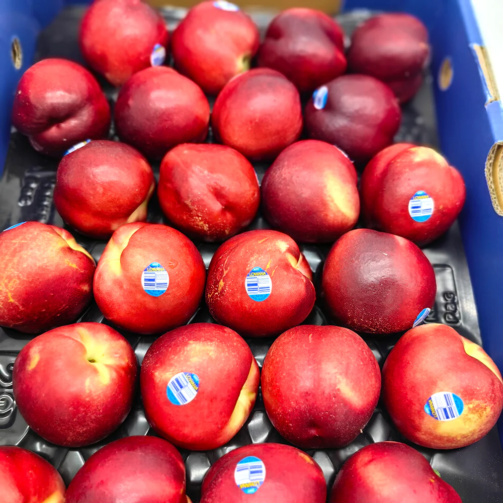 Lowana White Nectarines - Large, 4 Pieces - Image 3