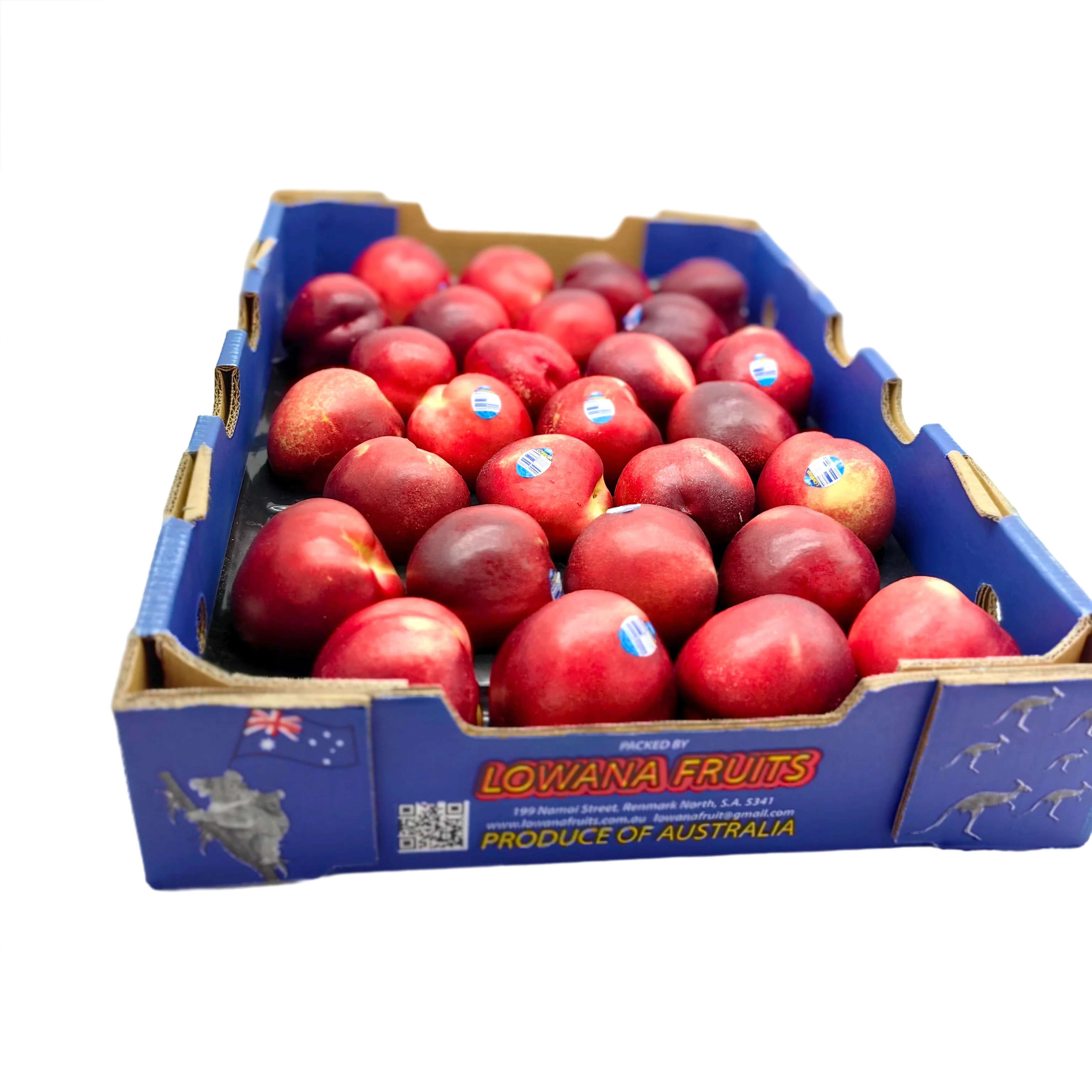 Lowana White Nectarines - Large, 4 Pieces - Image 5