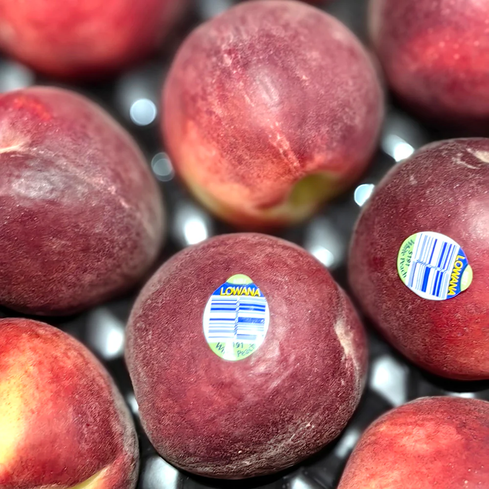 Lowana White Peaches - 1kg - Image 4
