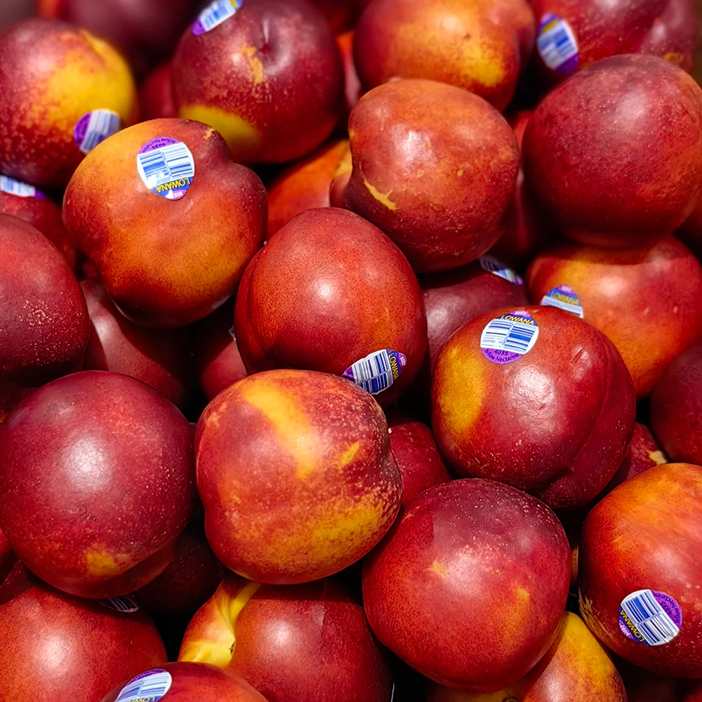 Lowana Yellow Nectarines - 1kg - Image 4