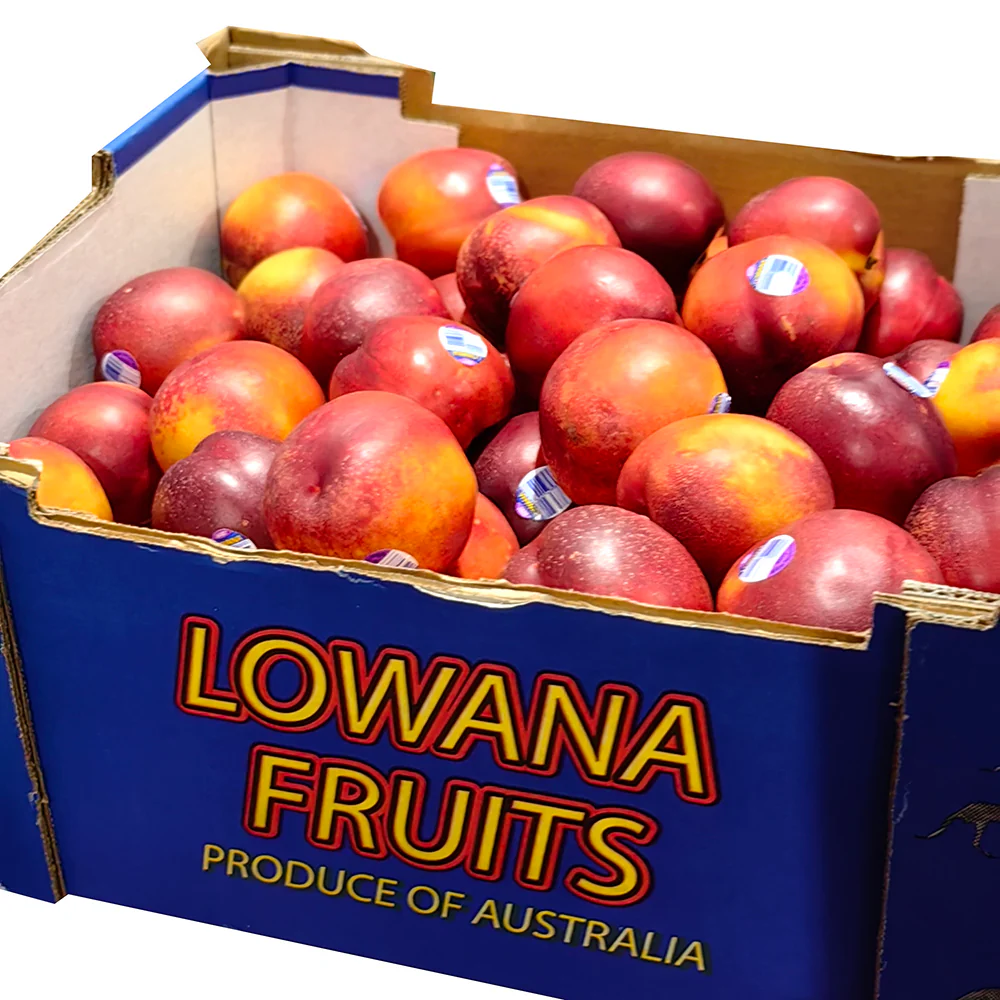 Lowana Yellow Nectarines - 1kg - Image 6