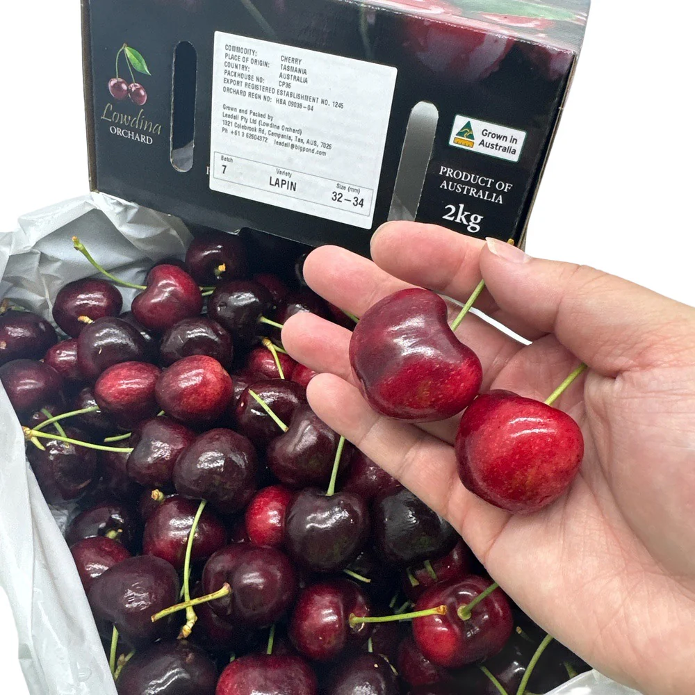 Lowdina Orchard Lapin Cherries Gift Box 32-34mm - 2kg - Image 4