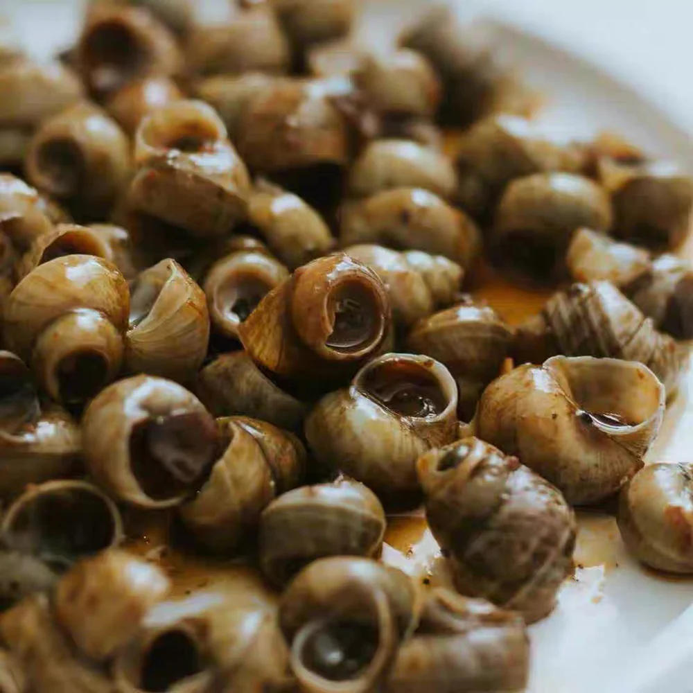 Luo Xiao Lan Spicy Flavor Snails in Sauce - 300g - Image 3