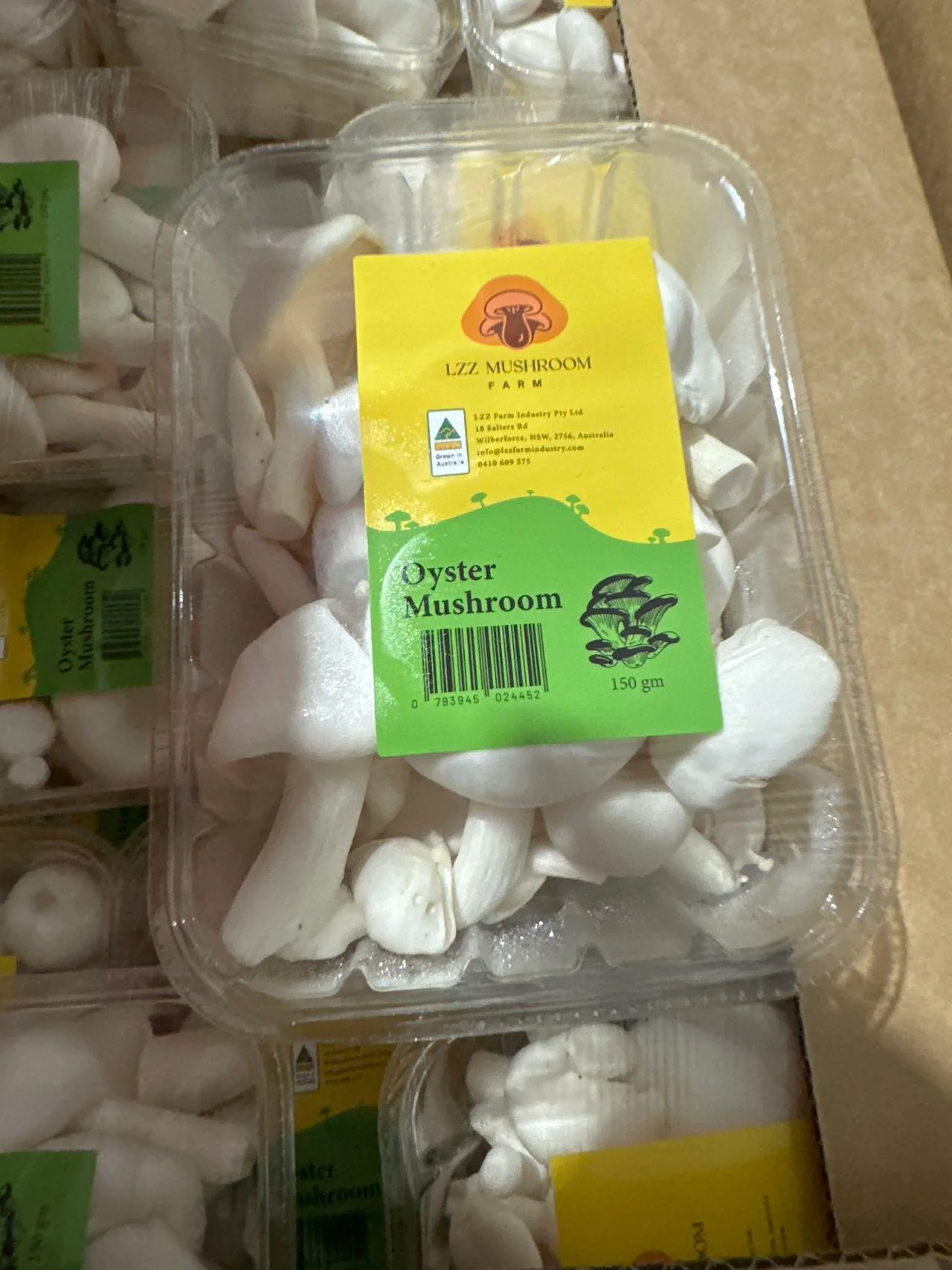 LZZ Mushroom Fresh Oyster Mushrooms - 150g - Image 2