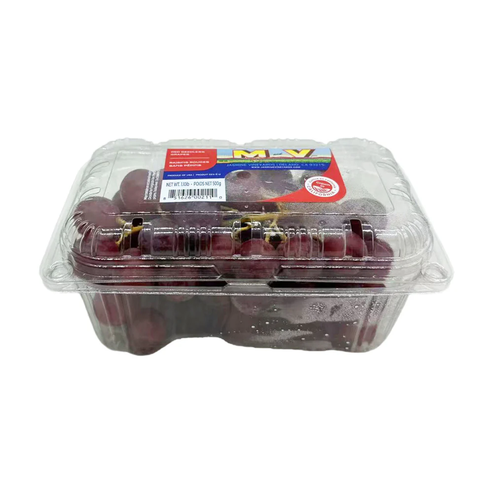 M&V Red Seedless Grapes (USA) – 1 Pack, 550g - Image 2