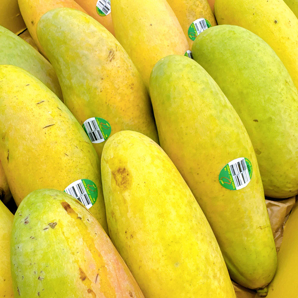 MAHA Dragon Tooth Mango - 750g