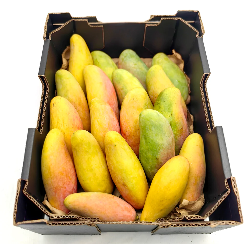 Maha Mangoes - 2 Pieces - Image 2