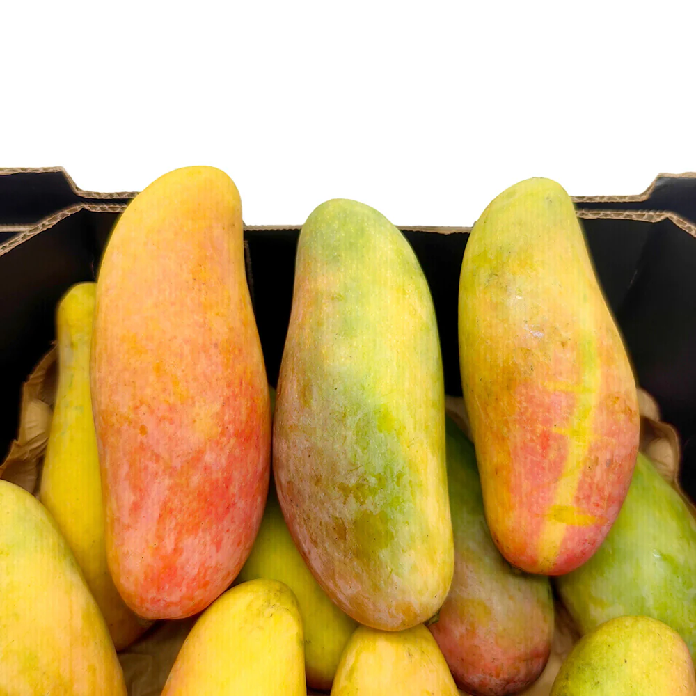 Maha Mangoes - 2 Pieces - Image 3