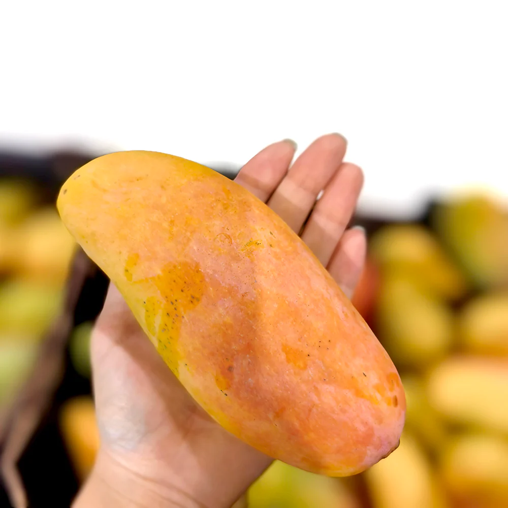 Maha Mangoes - 2 Pieces - Image 4