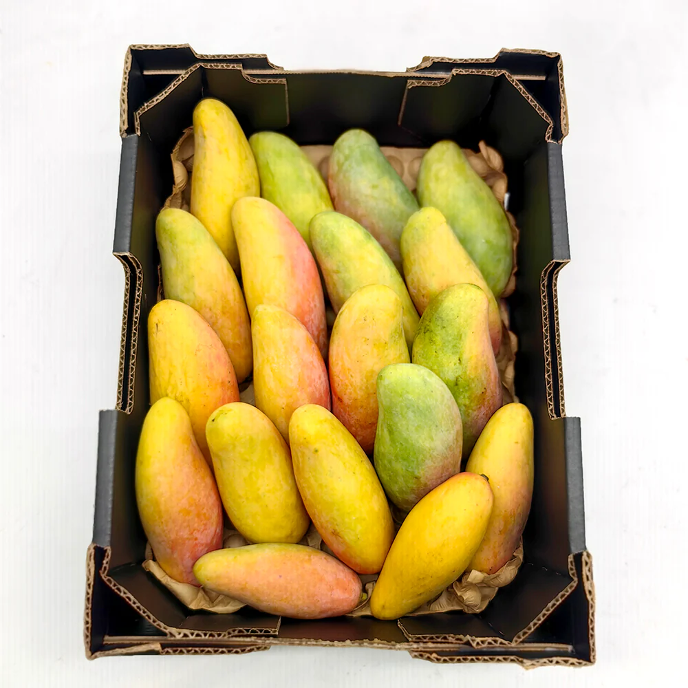 Maha Mangoes - 2 Pieces - Image 5