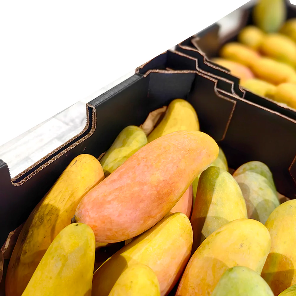 Maha Mangoes - 2 Pieces - Image 6