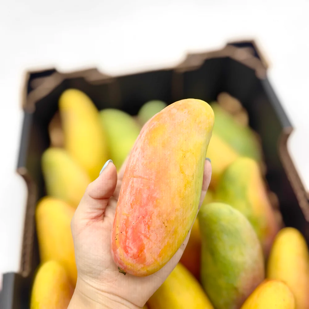 Maha Mangoes - 2 Pieces - Image 7