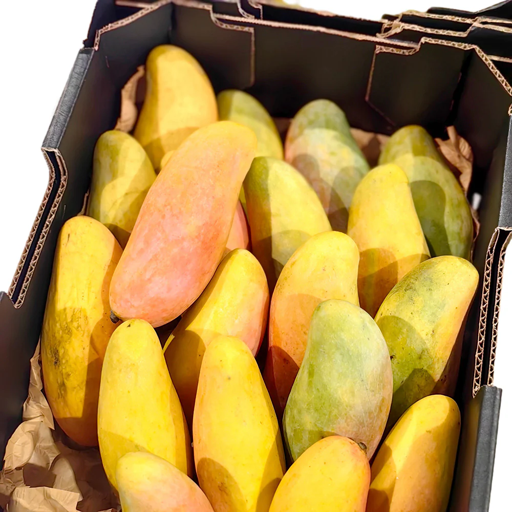 Maha Mangoes - 2 Pieces - Image 8