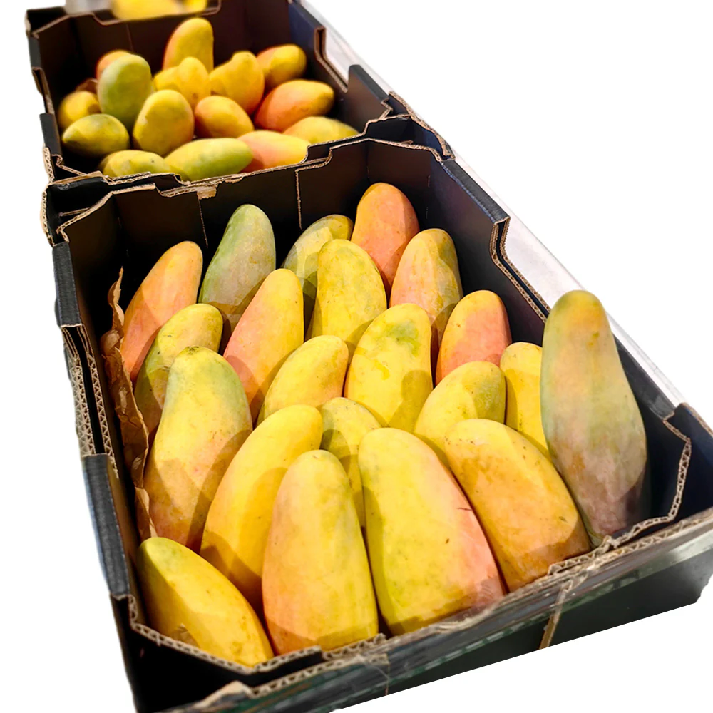 Maha Mangoes - 2 Pieces - Image 9