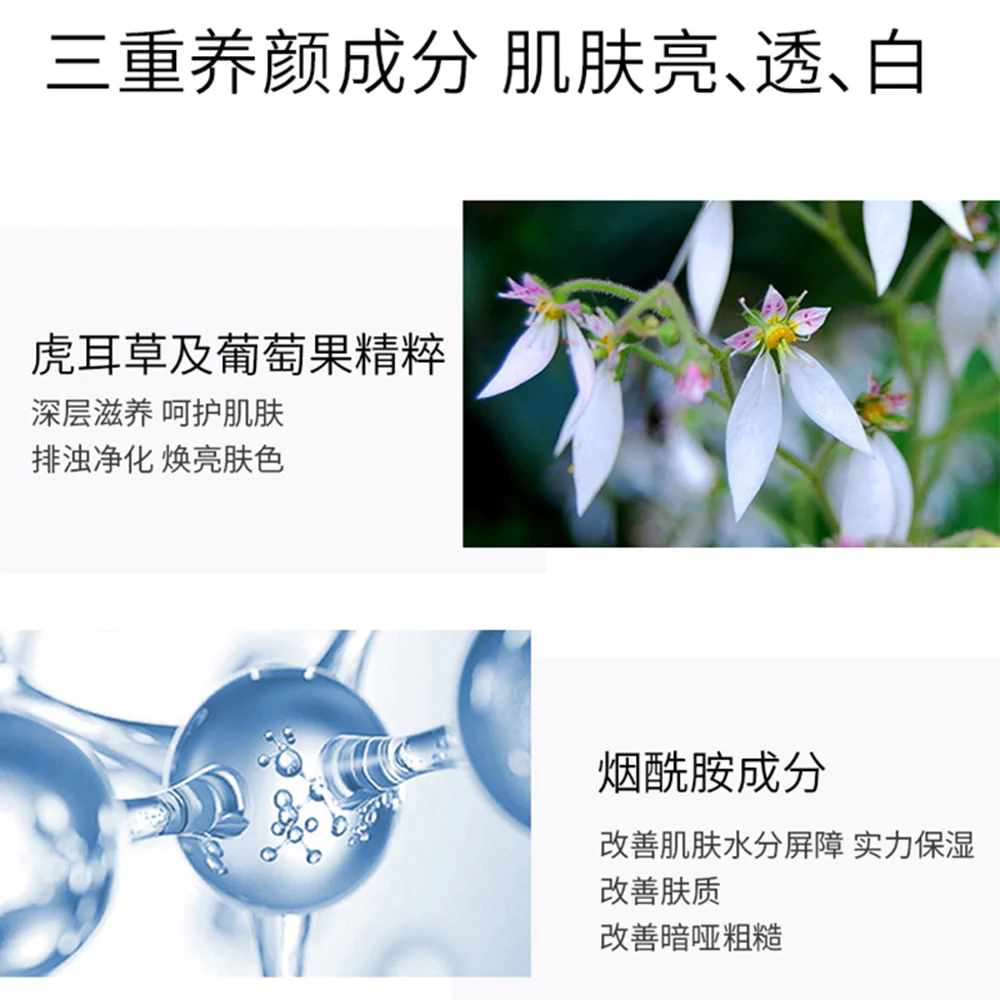 MAOGEPING Perfecting Transparent Cream for Foundation - 5ml - Image 2