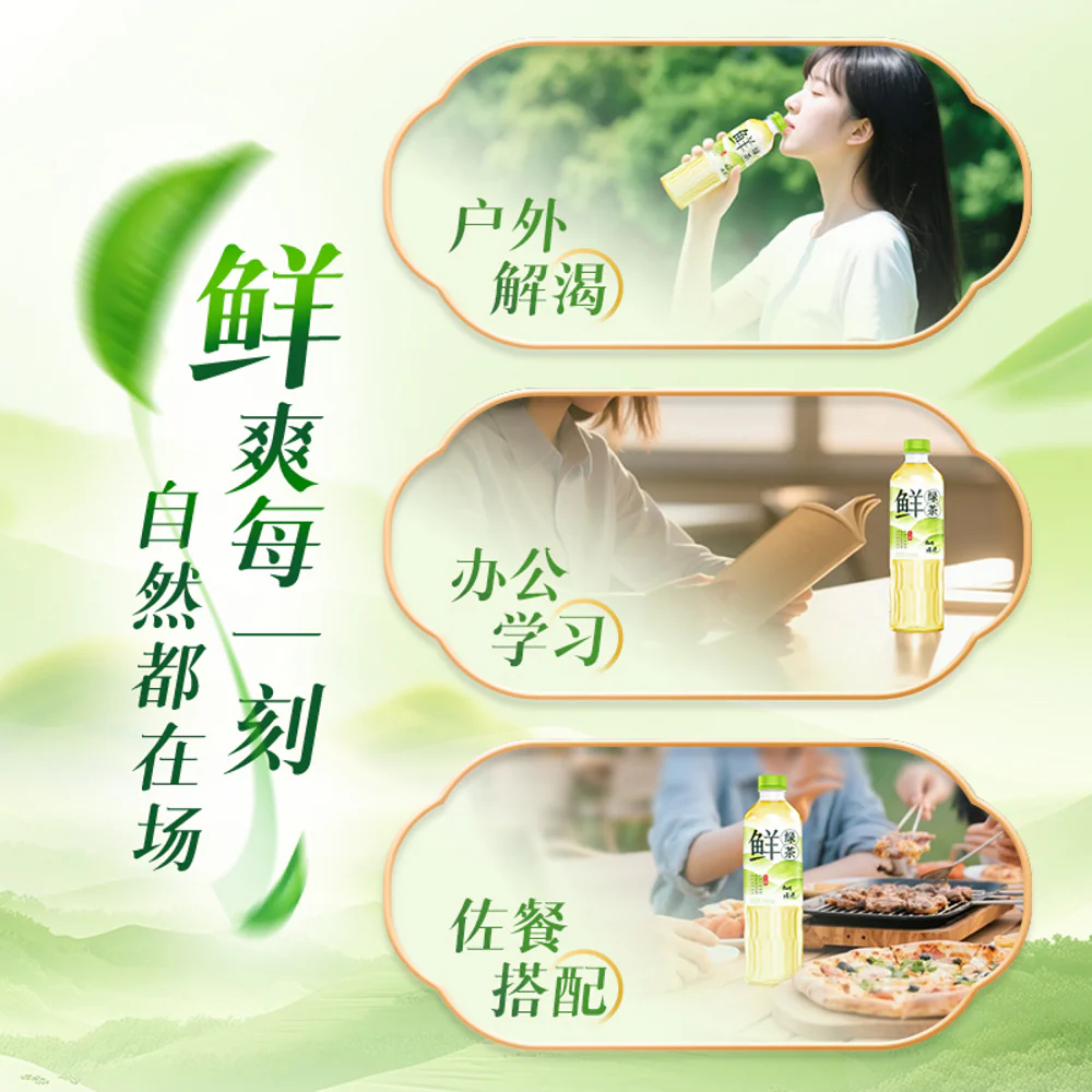 Master Kong Fresh Sugar-Free Green Tea Drink 500ml - Image 4