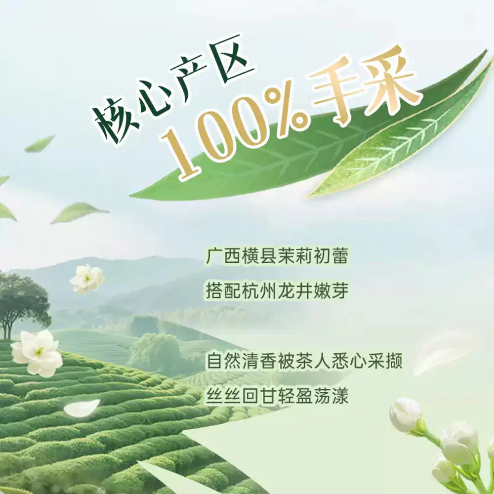 Master Kong Sugar-Free Jasmine Longjing Green Tea Drink 500ml - Image 2