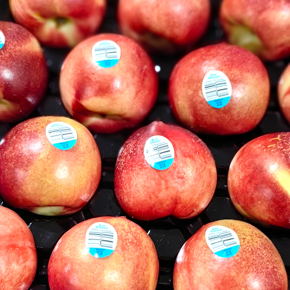 Medium-Large Nectarines - 4 Pieces - Image 2