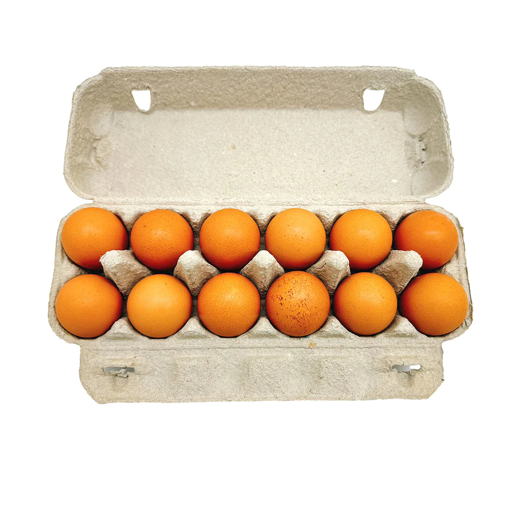 Meggles Farm Free Range Extra Large Eggs - 12 Pieces, 700g - Image 2