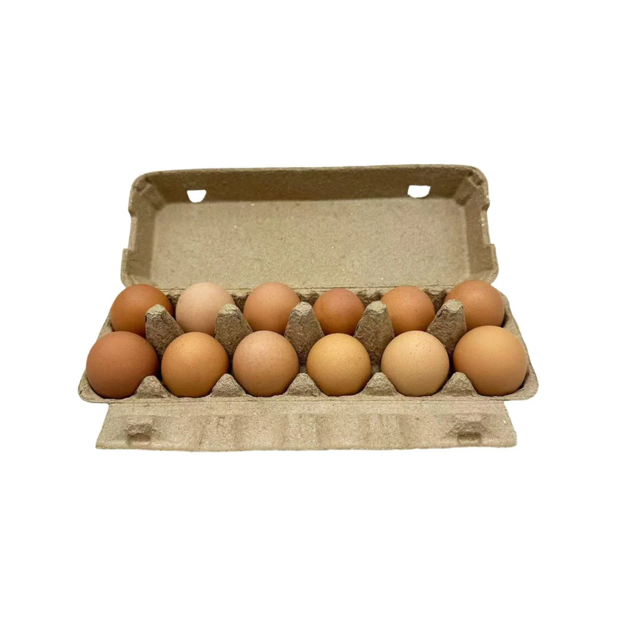 Meggles Farm Free Range Large Eggs 12 Pack 600g - Image 2