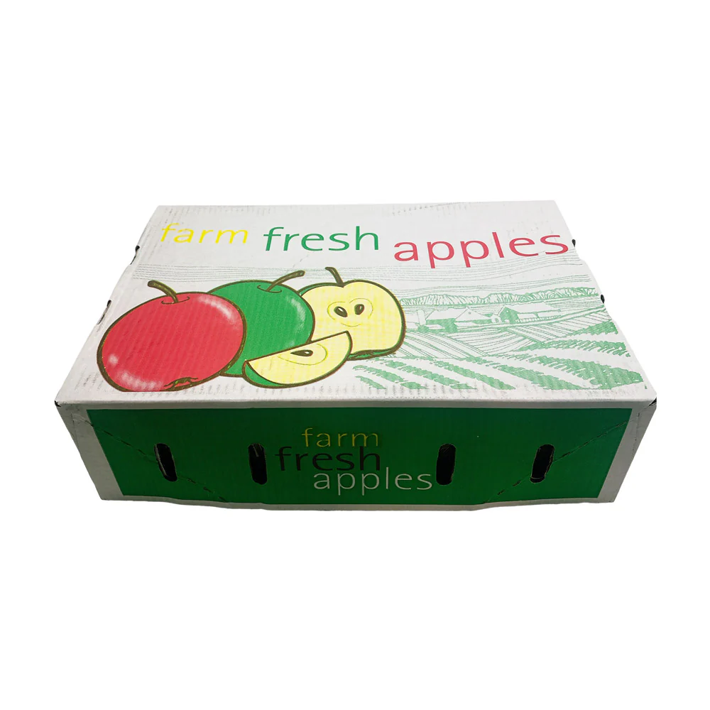 Mi Apple - 1 Box, 1kg - Image 3