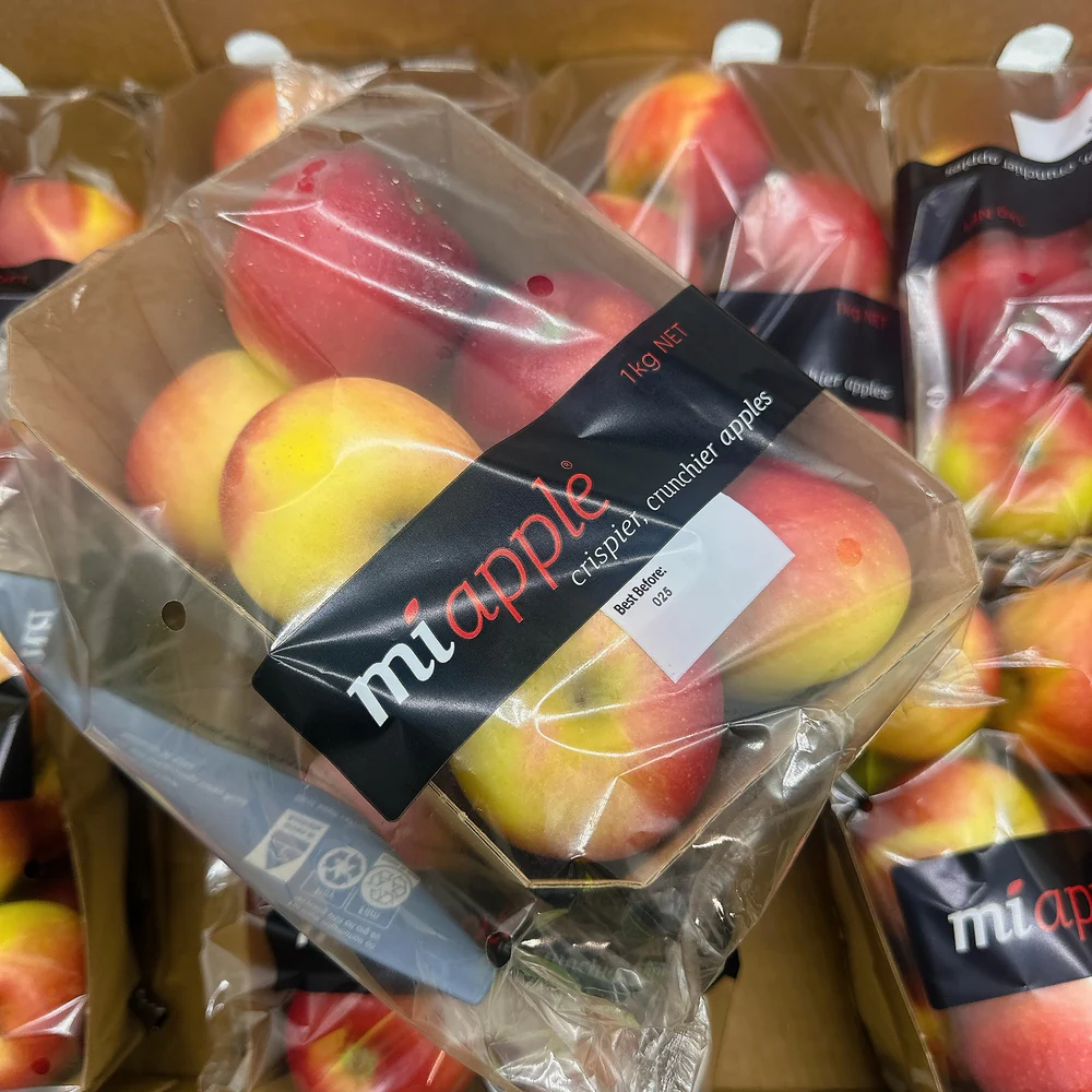 Mi Apple Box - 8 Packs - Image 2