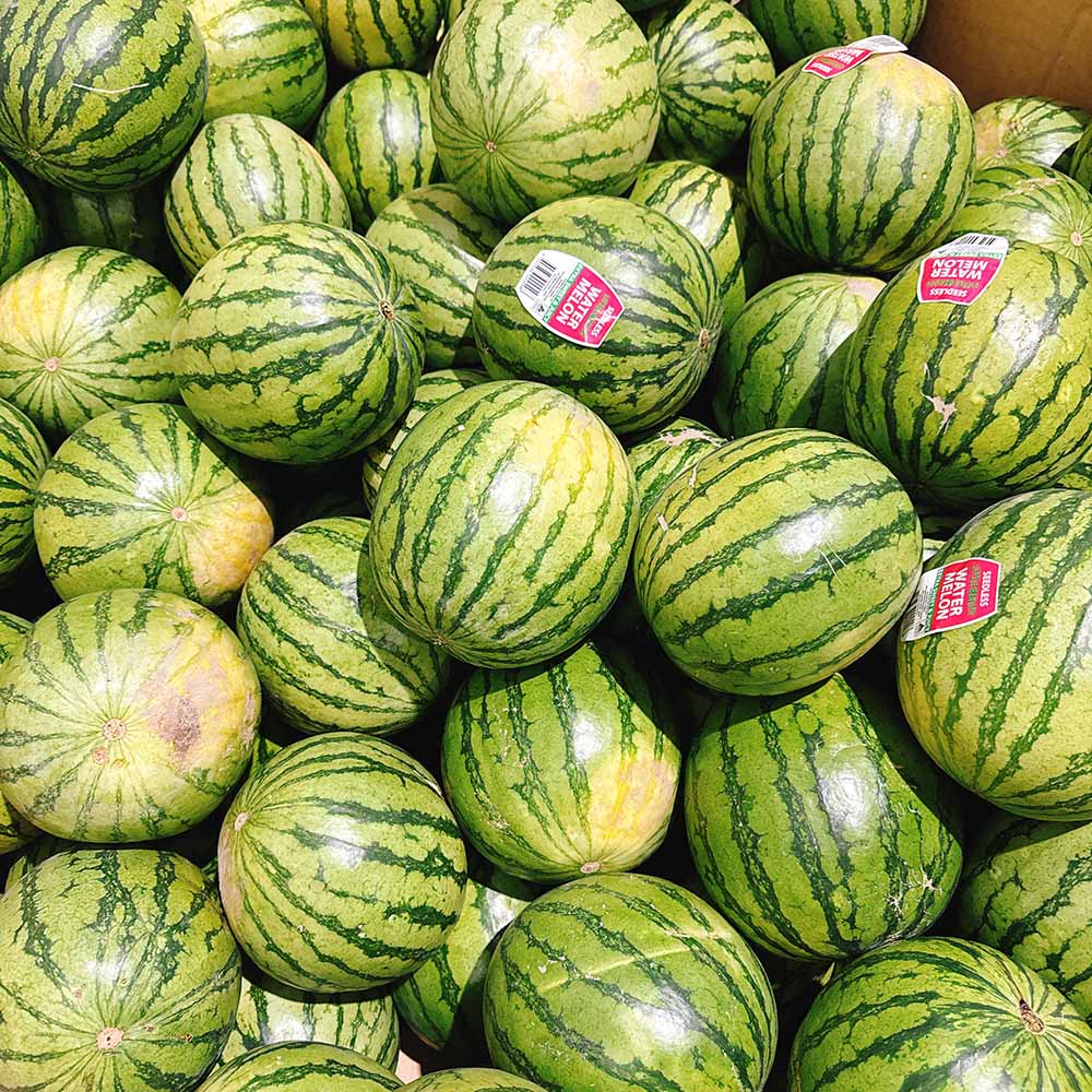 Mini Seedless Sugar Melon - 1 Piece 2kg