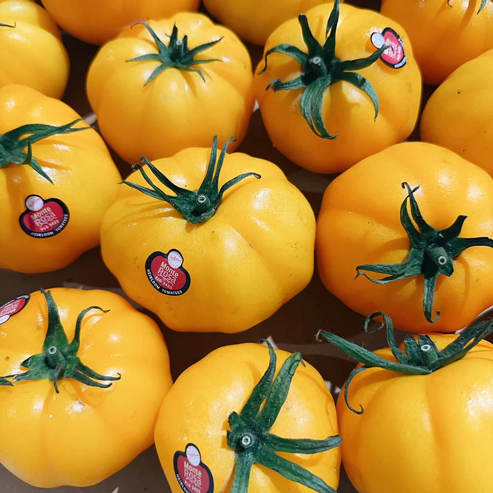 Monte Rosa Yellow Oxheart Tomatoes - 1kg - Image 3