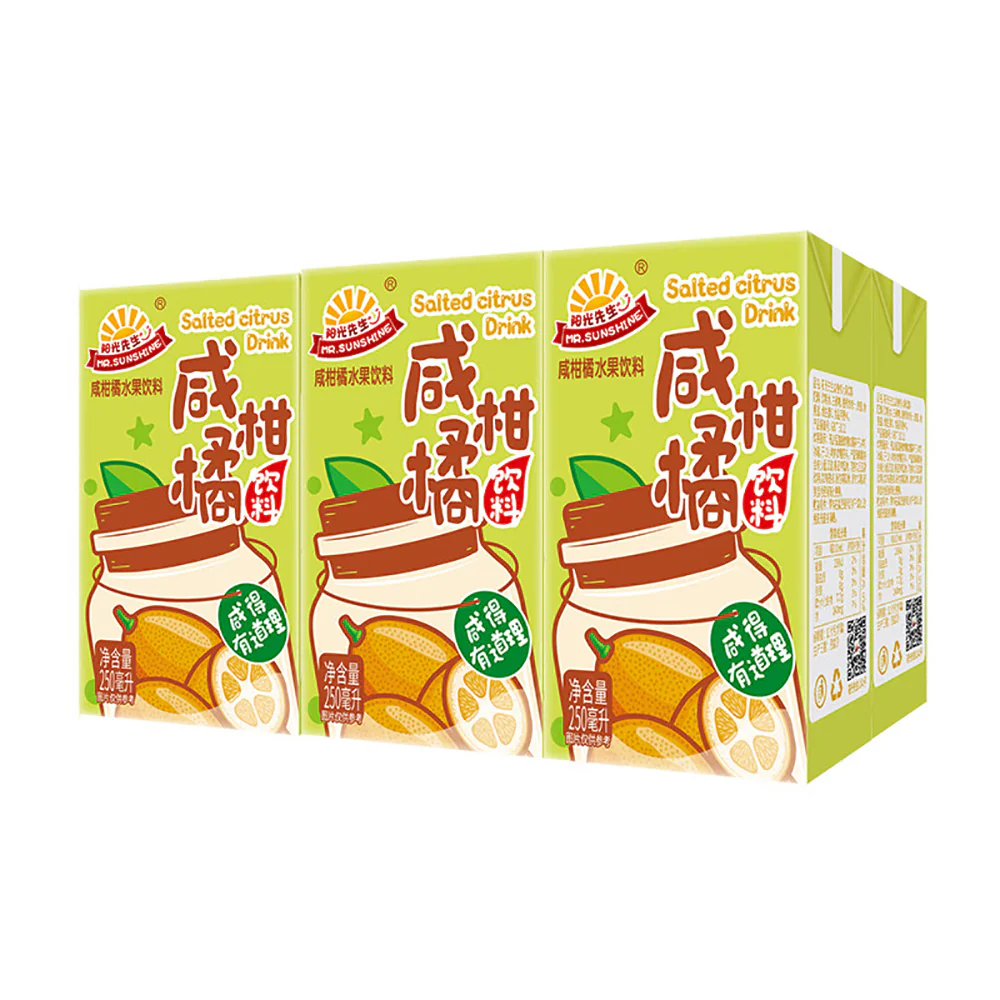 Mr. Sunshine Salted Citrus Drink - 250ml x 6 Boxes