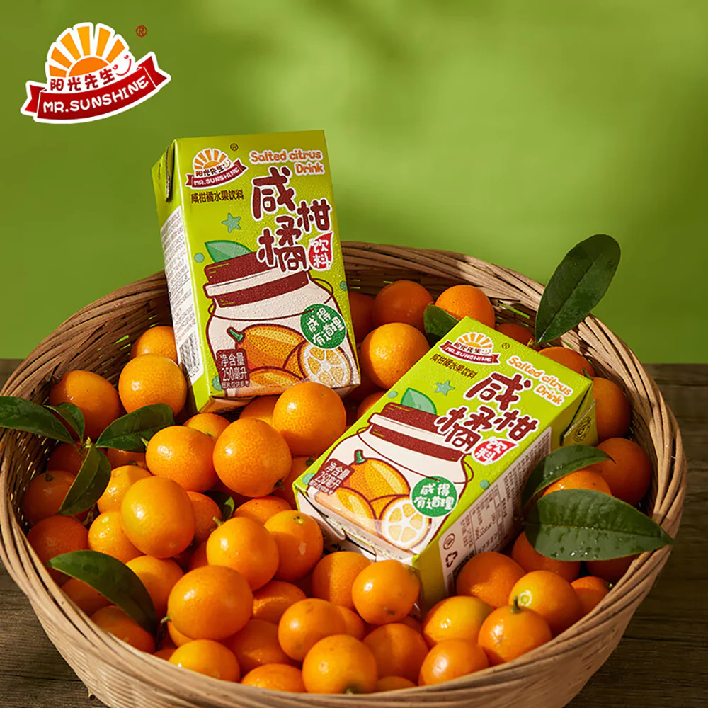 Mr. Sunshine Salted Citrus Drink - 250ml x 6 Boxes - Image 2