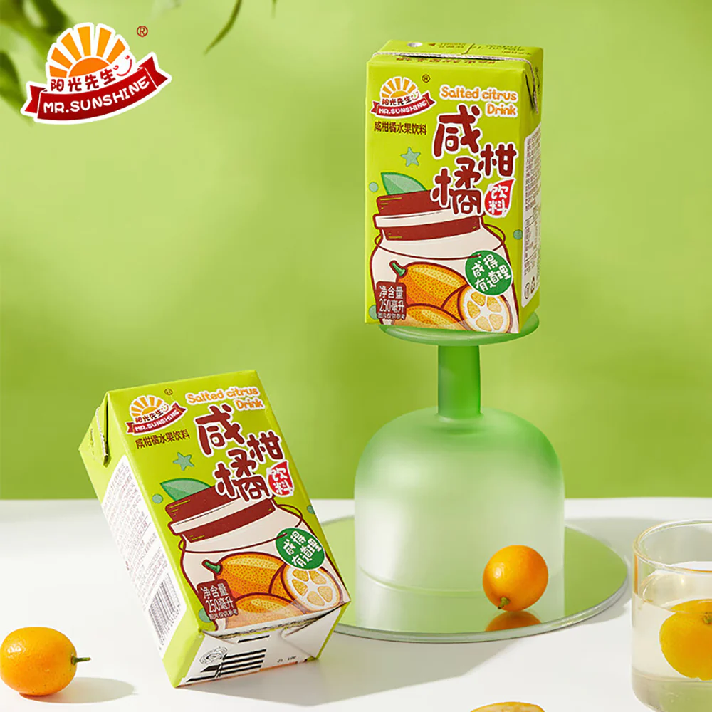 Mr. Sunshine Salted Citrus Drink - 250ml x 6 Boxes - Image 3