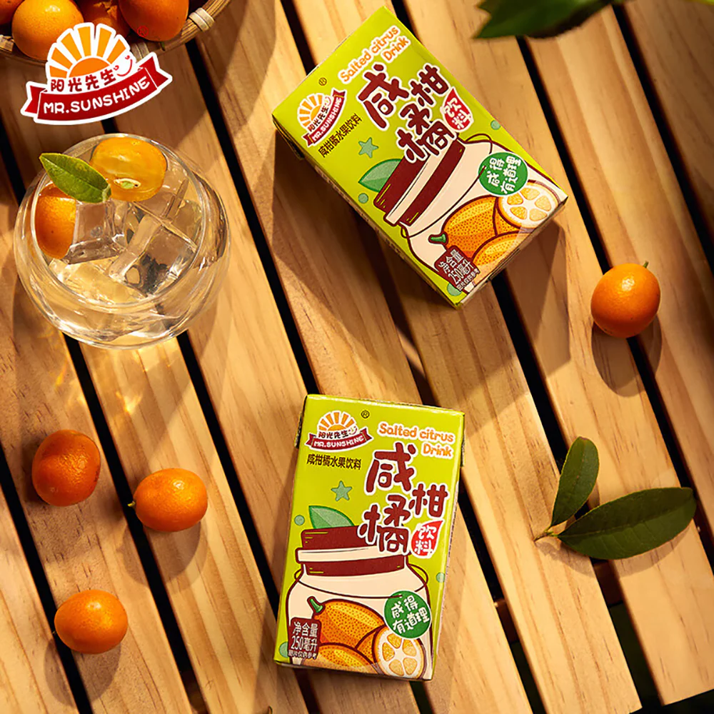 Mr. Sunshine Salted Citrus Drink - 250ml x 6 Boxes - Image 4