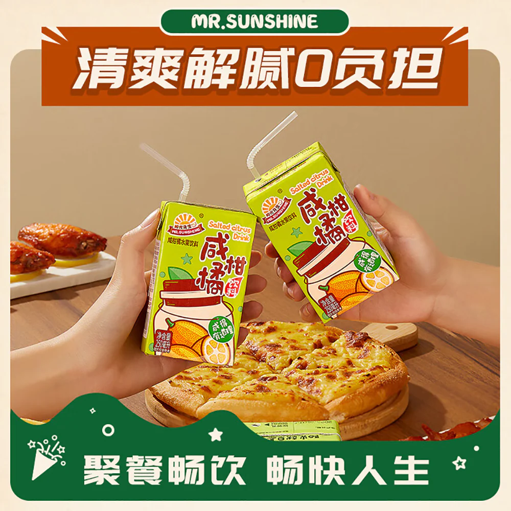 Mr. Sunshine Salted Citrus Drink - 250ml x 6 Boxes - Image 5