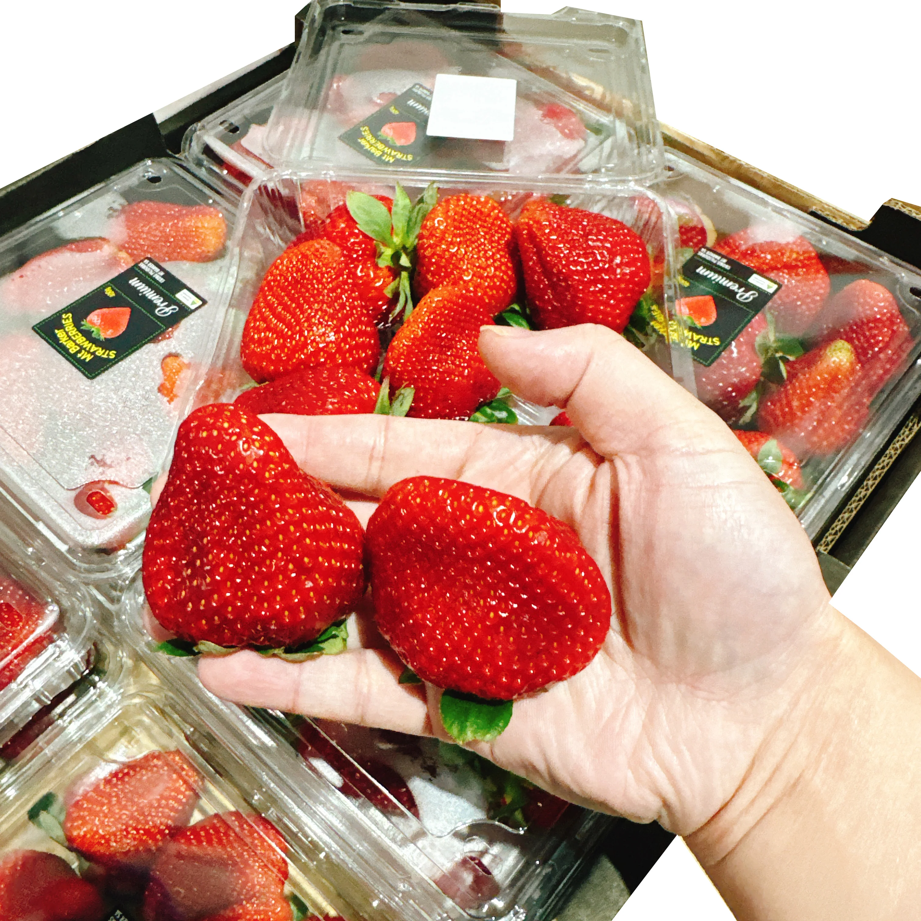 Mt Barker Premium Strawberries - 400g - Image 2