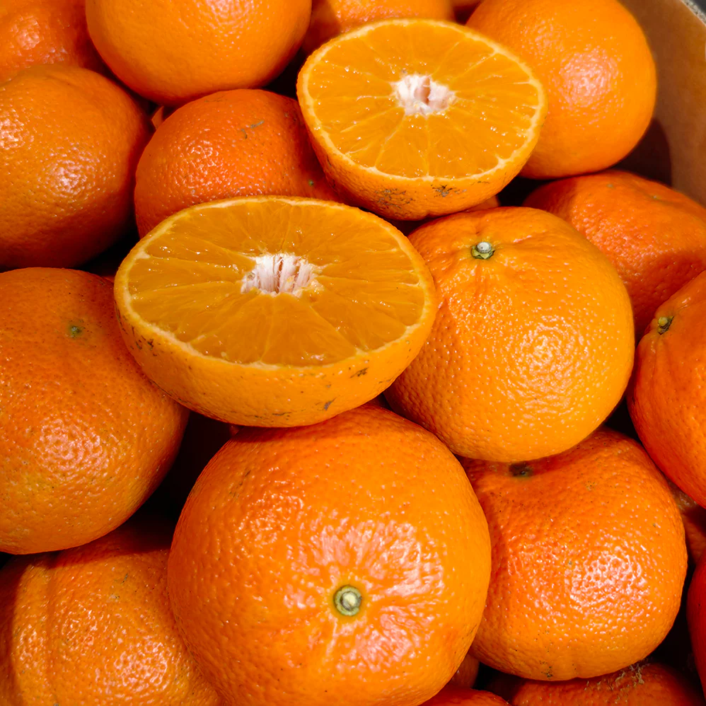 Murcott Mandarins - 1.1kg - Image 4