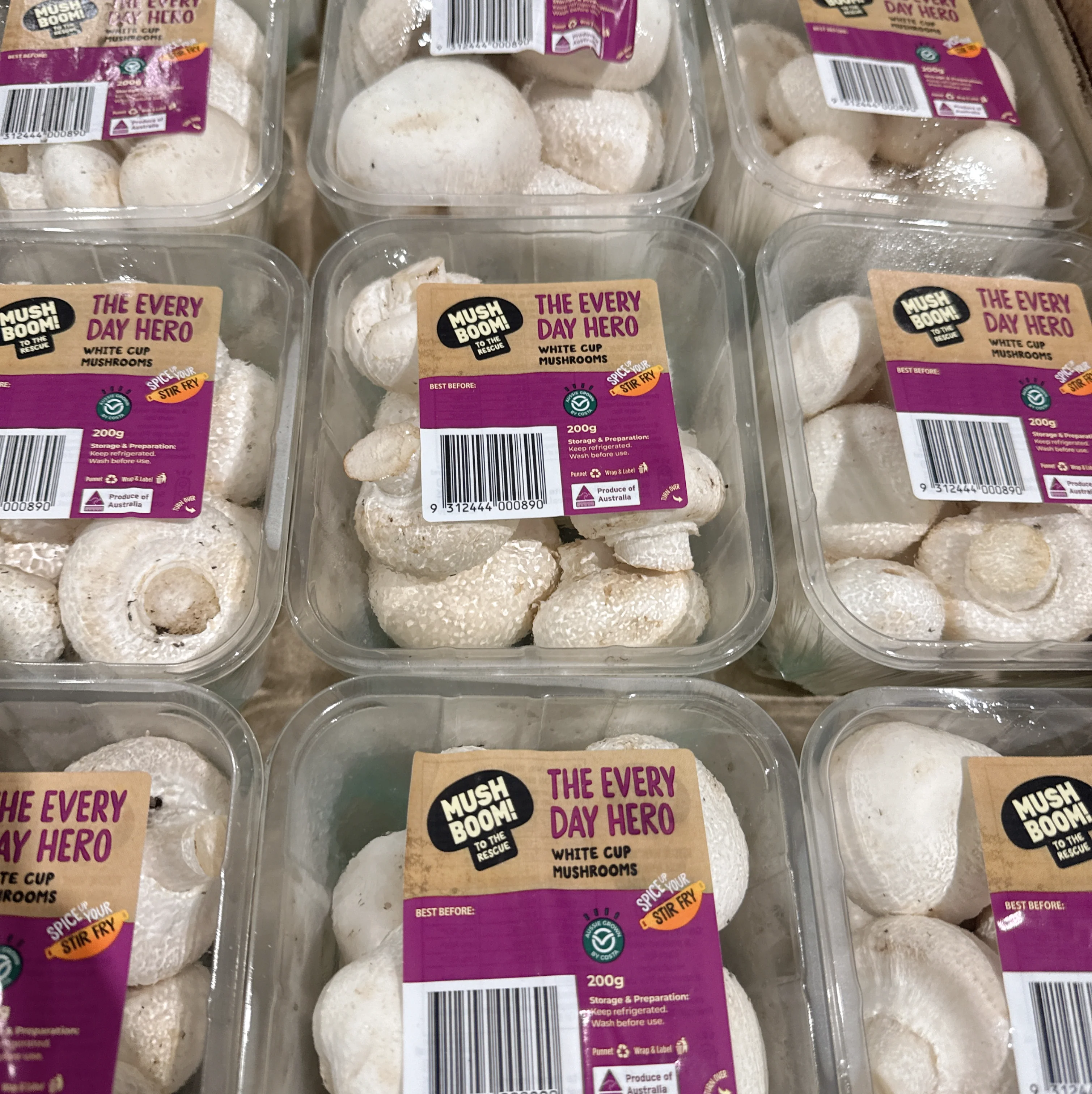 Mush Boom White Cup Mushrooms - 1 Pack - Image 2