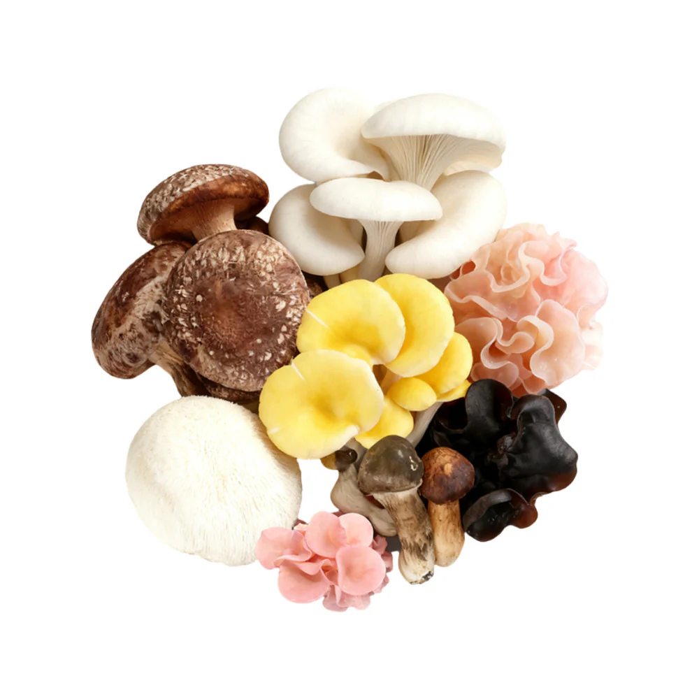 Mycoharvest Mixed Gourmet Mushrooms 200g - Image 2