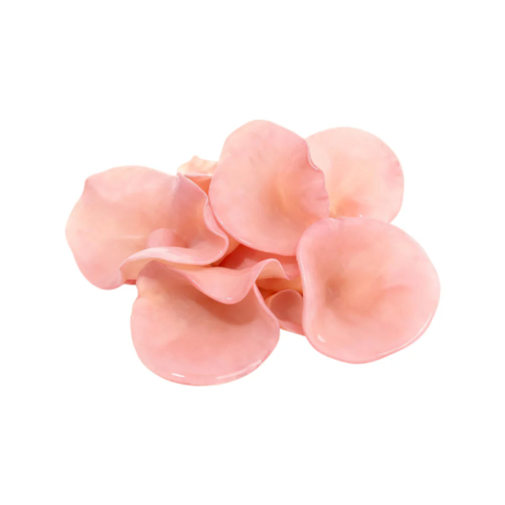Mycoharvest Pink Fungus 100g – Guifei Wood Ear Mushroom (Rare Variety) - Image 2