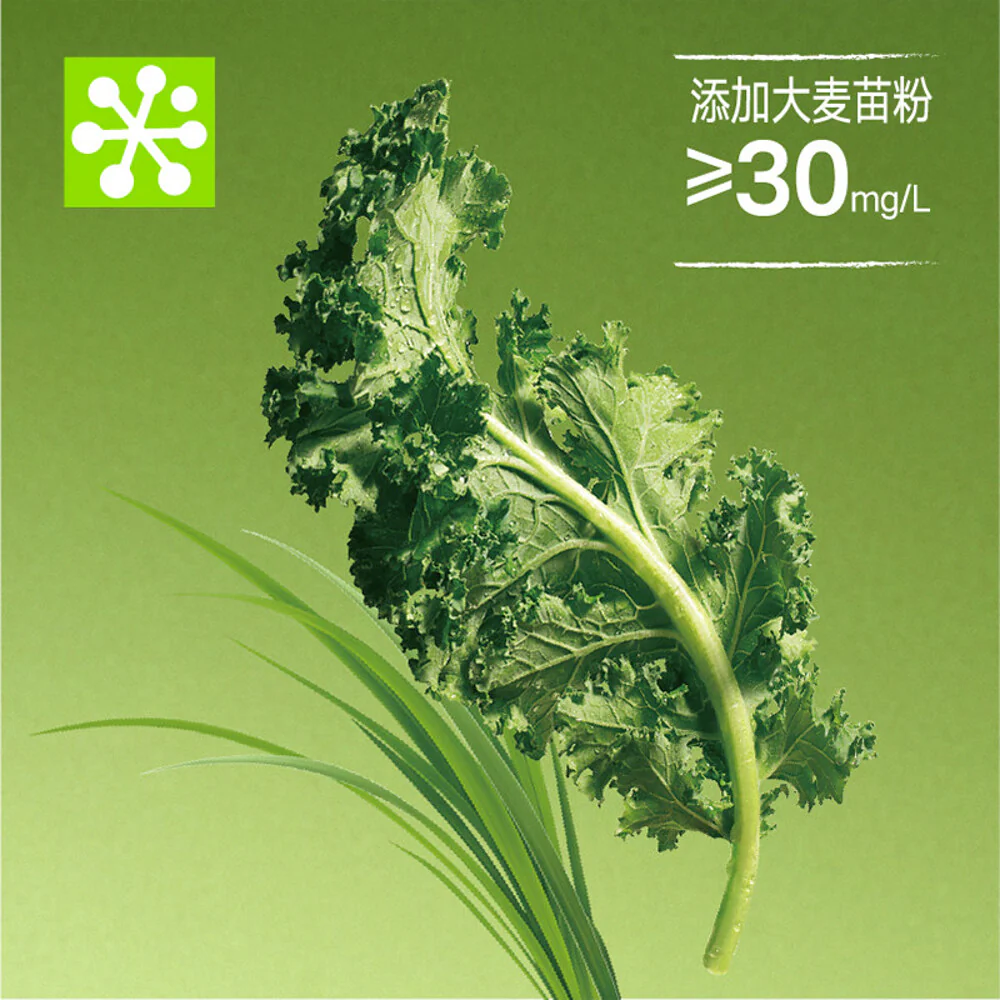 Naisnow Super Fruit & Veg Kale Jasmine Tea 450ml - Image 5
