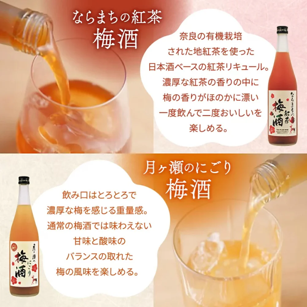 Nara Kasugayama Naramachi Black Tea Plum Wine 10.5% - 720ml - Image 2